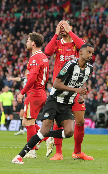 这到底是什 这到底是什