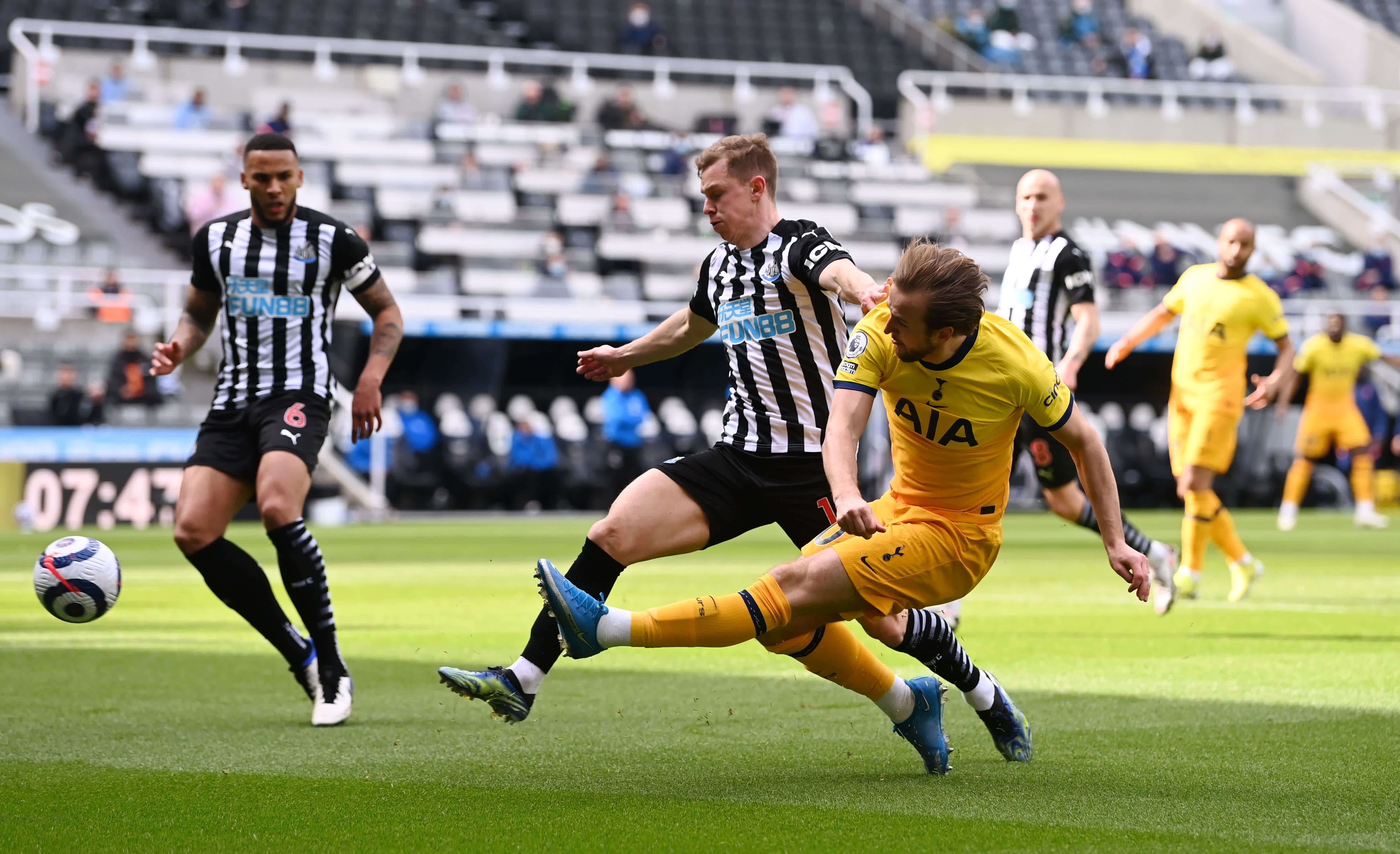 新的惊喜 新的惊喜